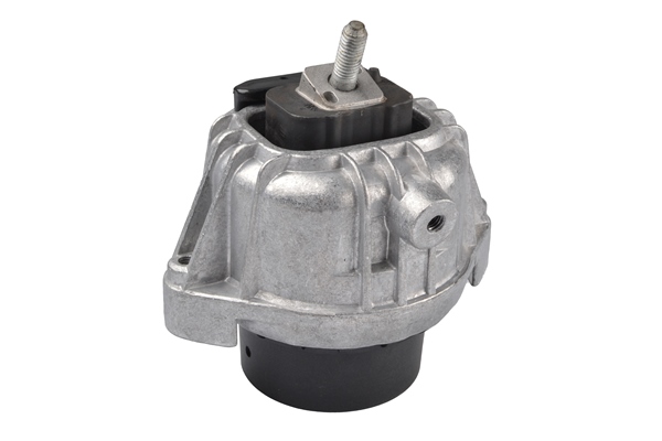 Tedgum Aslichaam-/motorsteunlager TED60795