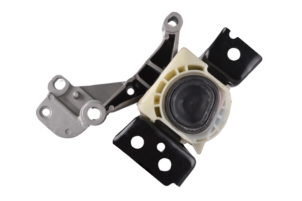 Tedgum Aslichaam-/motorsteunlager TED60891