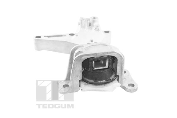 Tedgum Motorsteun TED61737