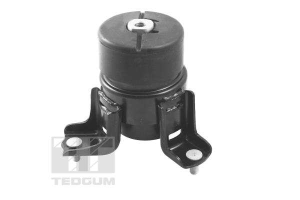 Tedgum Motorsteun TED62860