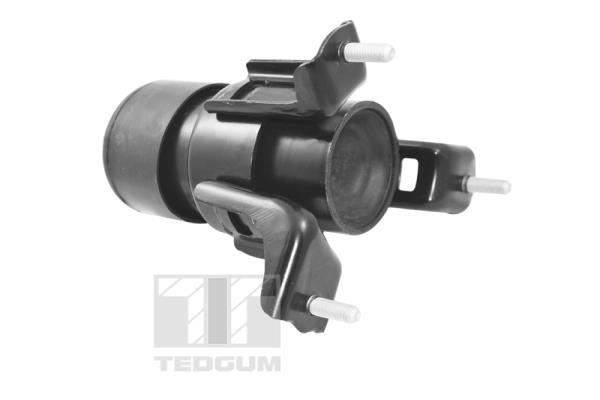 Tedgum Motorsteun TED62860