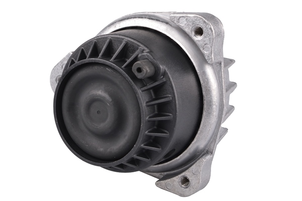 Tedgum Aslichaam-/motorsteunlager TED67227