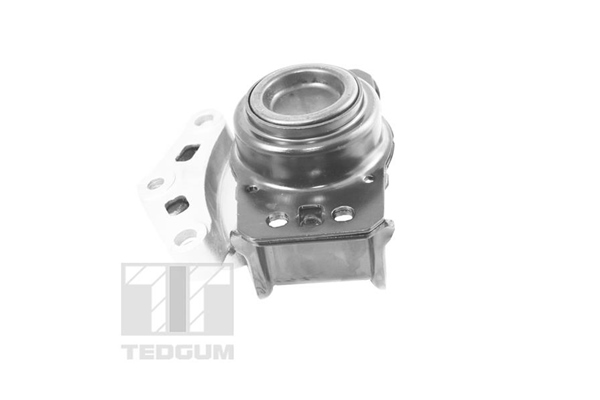 Tedgum Motorsteun TED70595