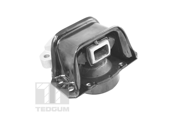 Tedgum Motorsteun TED70595