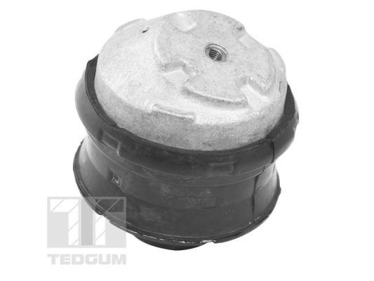 Tedgum Motorsteun TED72237