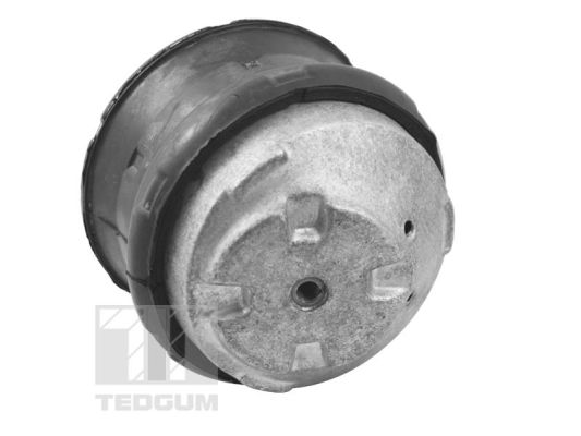 Tedgum Motorsteun TED72237