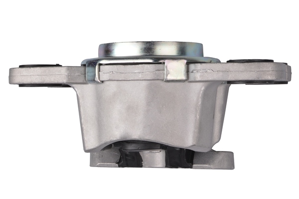 Tedgum Aslichaam-/motorsteunlager TED74664