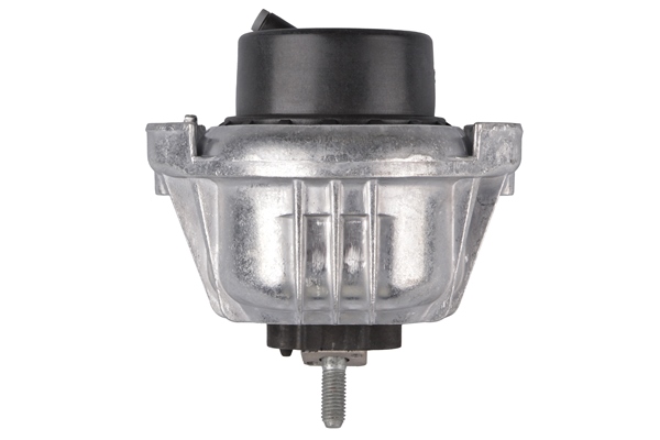 Tedgum Aslichaam-/motorsteunlager TED75641