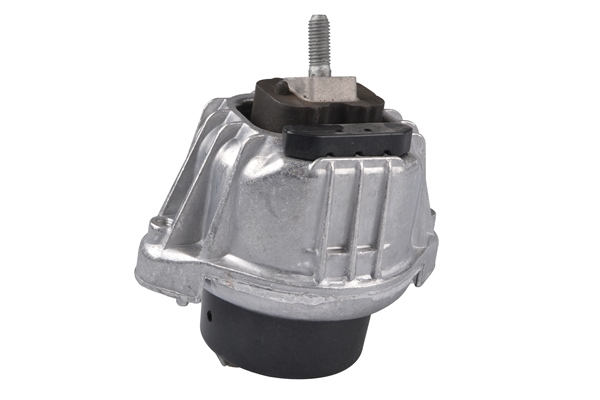 Tedgum Aslichaam-/motorsteunlager TED75641