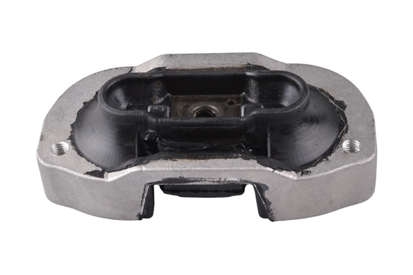 Tedgum Aslichaam-/motorsteunlager TED77910