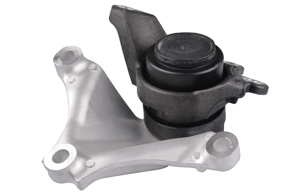 Tedgum Aslichaam-/motorsteunlager TED79880