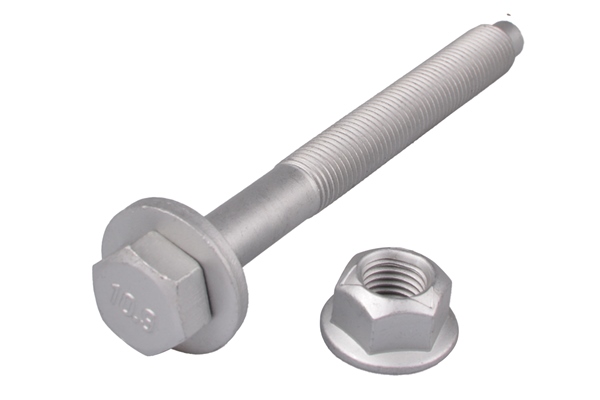 Schroef Tedgum TED80197