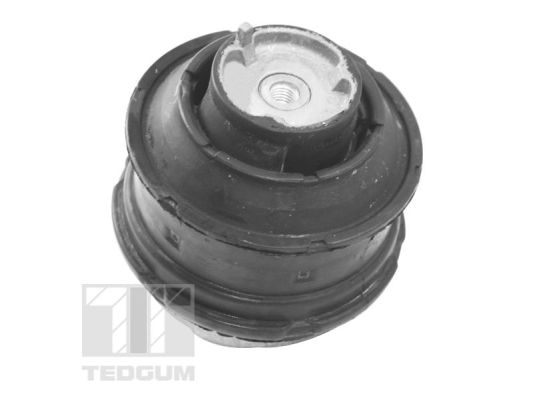 Tedgum Motorsteun TED81021