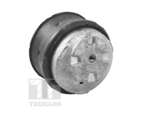 Tedgum Motorsteun TED81021