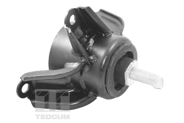 Tedgum Motorsteun TED95921