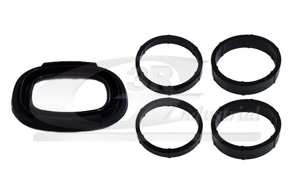 3RG Pakkingset, inlaatspruitstuk 36600