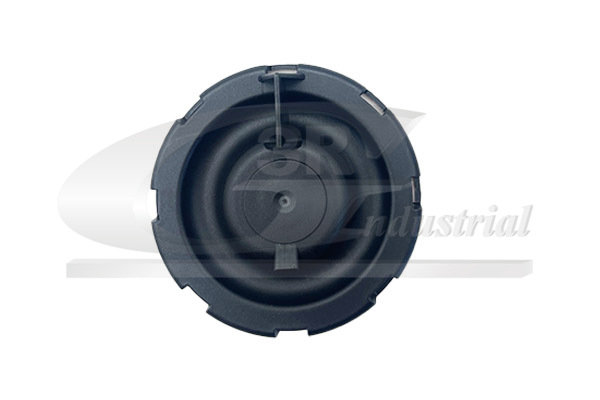 3RG Klep, ontluchting nokkenasbehuizing 81115