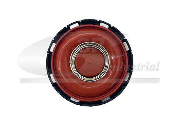 3RG Klep, ontluchting nokkenasbehuizing 81115