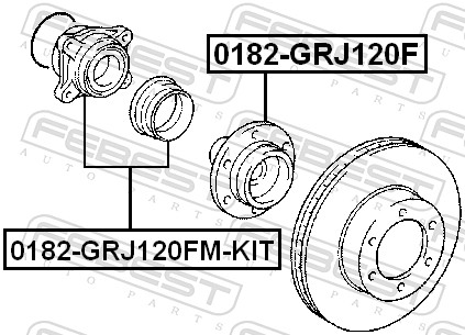 Febest Wielnaaf 0182-GRJ120F