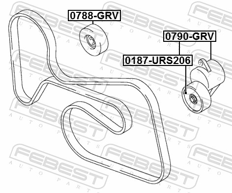 Febest Spanner poly V-riem 0790-GRV