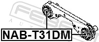 Febest Differentieel keerring NAB-T31DM