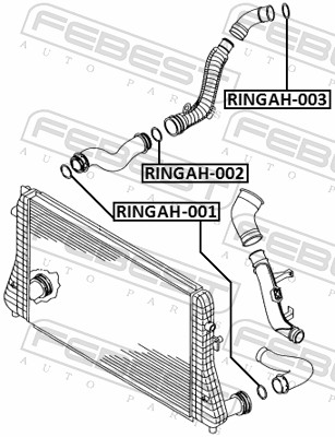 Febest Laadlucht-/turboslang RINGAH-001