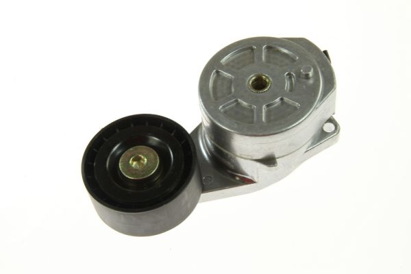 Riemspanner, Poly V-riem BTA B05-01-008