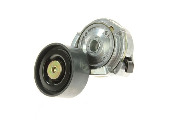 Riemspanner, Poly V-riem BTA B05-01-013