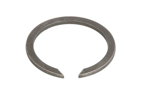 ABS ring BTA B06-1056