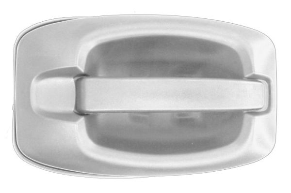 Pacol Portiergreep buitenkant IVE-DH-0015