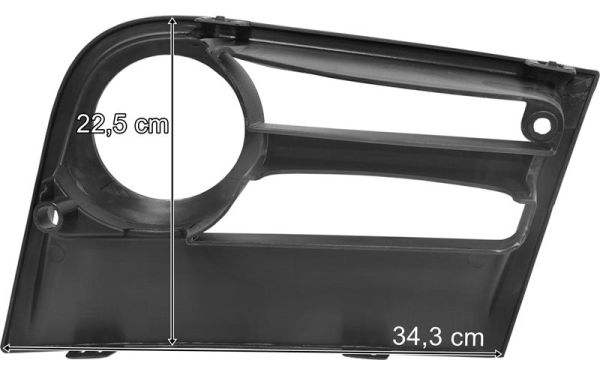 Pacol Bumper LAM19809EX