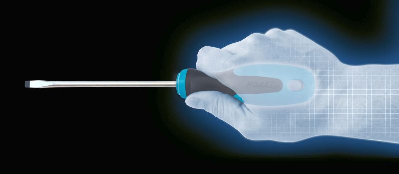 Hazet Schroevendraaierset 810/6PZ