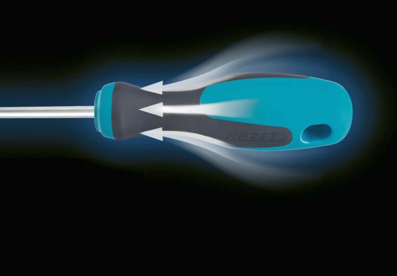 Hazet Schroevendraaierset 810/6PZ