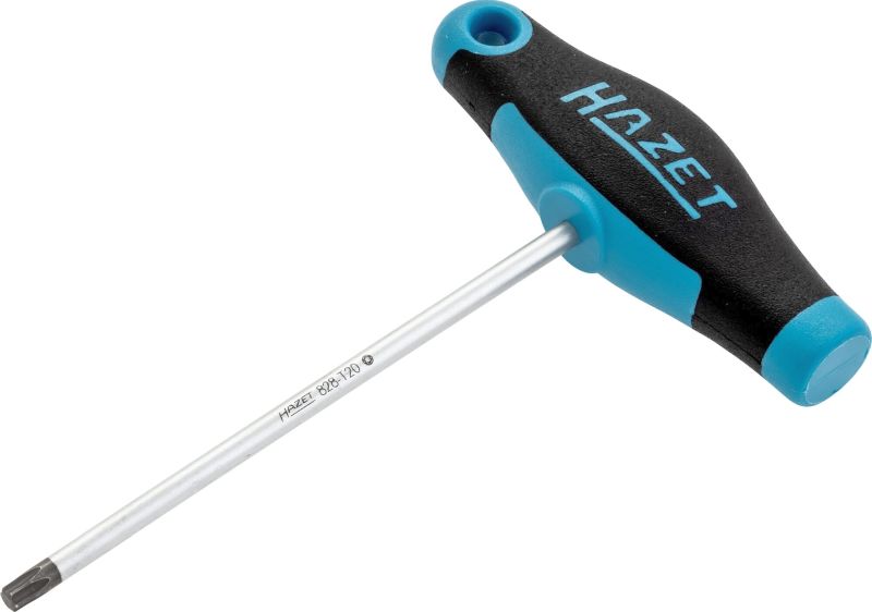 Hazet Schroevendraaier 828-T20