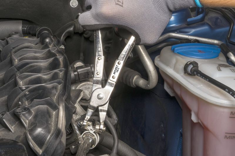 Hazet Tang, slangklem 798-5