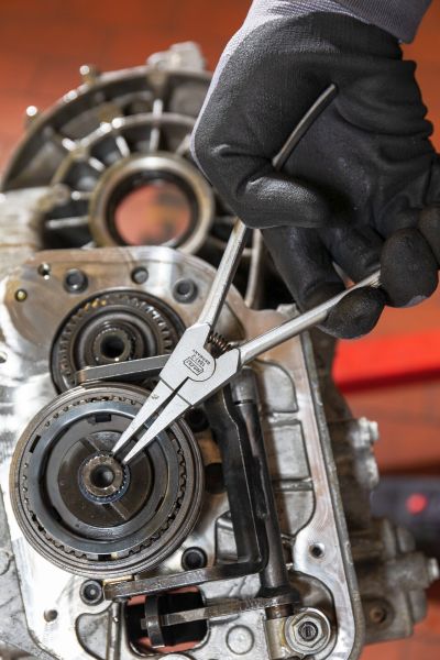 Hazet Borgringtang 1847-2