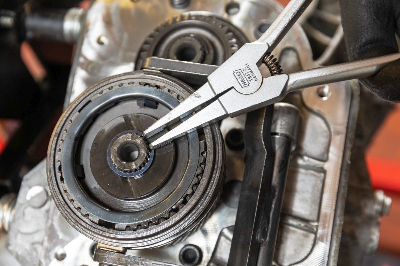 Hazet Borgringtang 1847-2