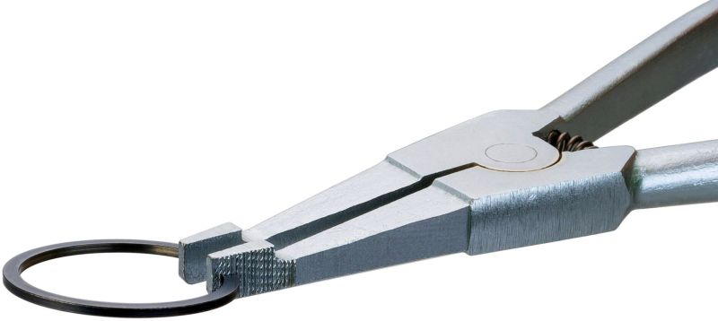 Hazet Borgringtang 1847-2