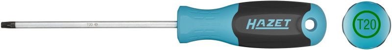 Hazet Schroevendraaier 811-T20