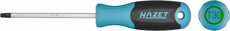 Hazet Schroevendraaier 811-T30