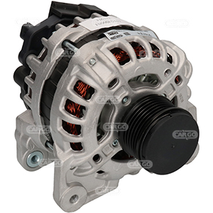 Hc-Cargo Alternator/Dynamo 116174