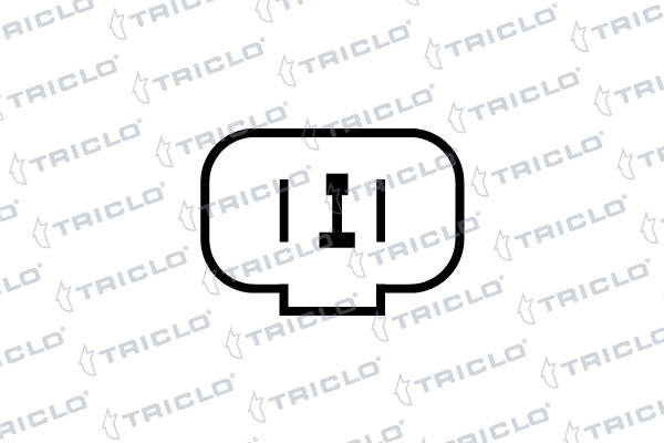 Triclo Koplampsproeier 190399