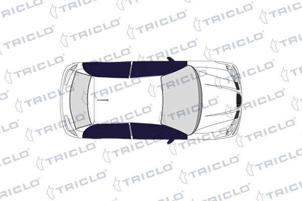 Triclo Raamslinger 128187