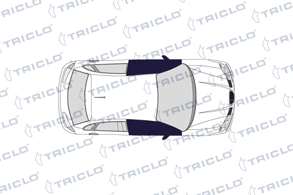 Triclo Deurcontact schakelaar 185508