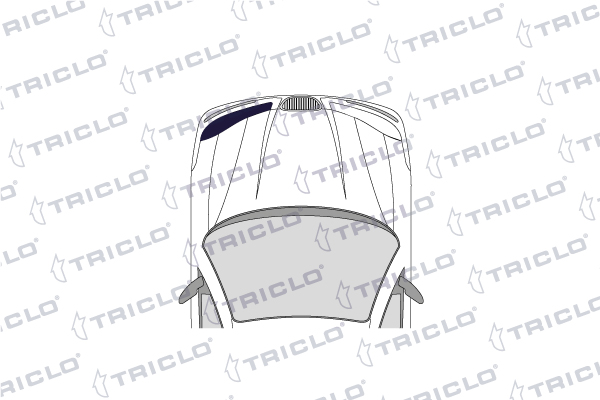Triclo Koplampwissermotor 190731