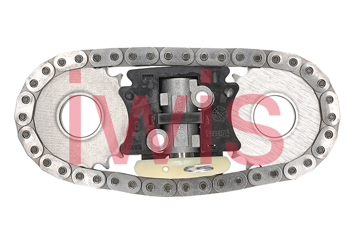 Iwis Motorsysteme Distributieketting kit 73951Set