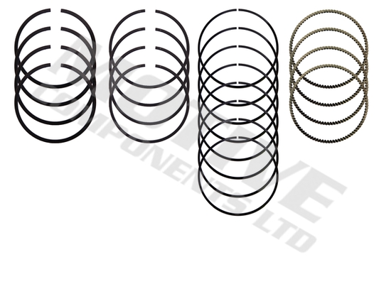 Motive Zuigerveren 5312