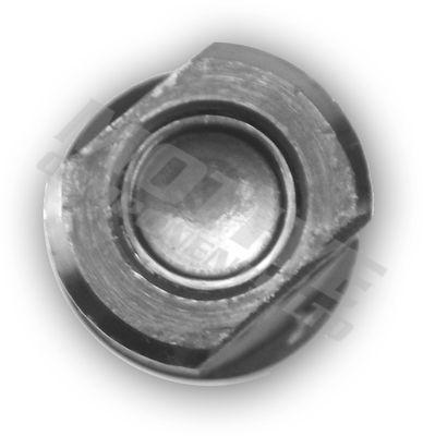 Motive Tuimelaaras, motorregeling RS21