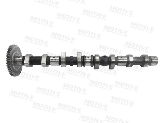 Motive Nokkenas T4405