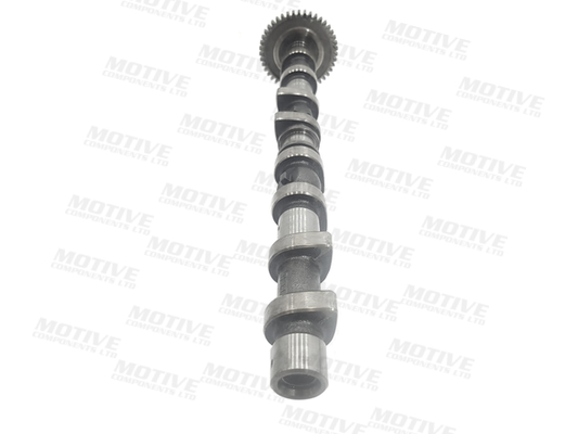 Motive Nokkenas T4405